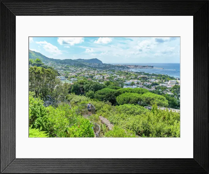 Framed Print : View of tropical flora in Giardini la Mortella Botanical Gardens and Forio in background, Forio, Island of Ischia, Campania, Italy, Europe Framed Print : View of tropical flora in Giardini la Mortella Botanical Gardens and Forio in background, Forio, Island of Ischia, Campania, Italy, Europe