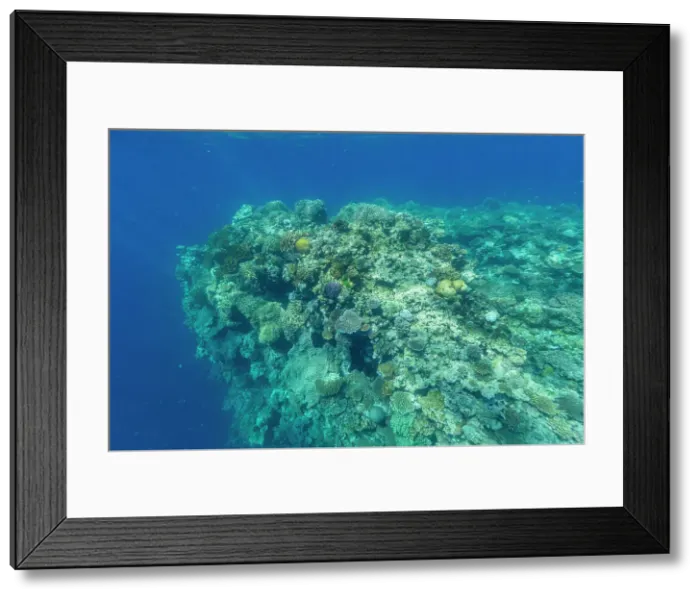 Framed Print : A myriad of hard and soft corals, as well as tropical reef fish on the healthy reef near Volivoli Resort on Viti Levu, Fiji, South Pacific, Pacific Framed Print : A myriad of hard and soft corals, as well as tropical reef fish on the healthy reef near Volivoli Resort on Viti Levu, Fiji, South Pacific, Pacific