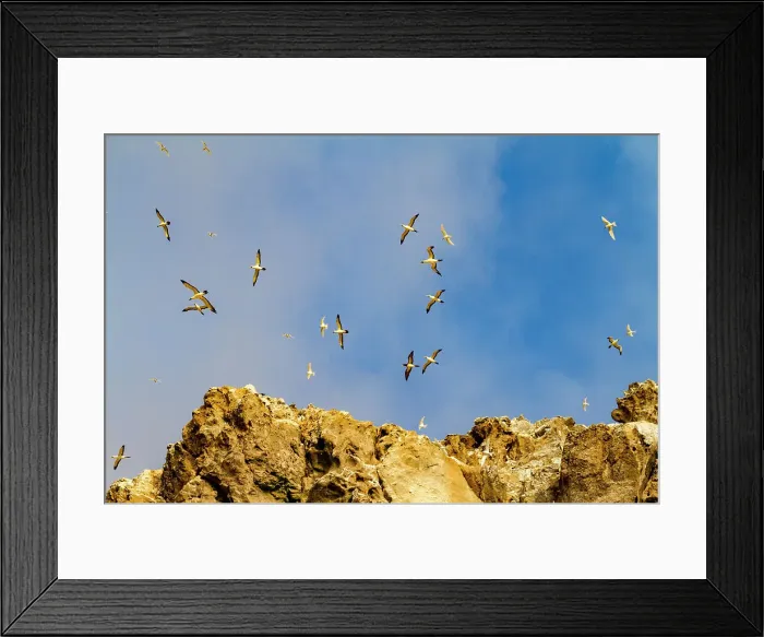 Framed Print : A dawn view of Boatswain Bird Island just off Ascension Island in the southern tropical Atlantic Ocean, South Atlantic Ocean Framed Print : A dawn view of Boatswain Bird Island just off Ascension Island in the southern tropical Atlantic Ocean, South Atlantic Ocean