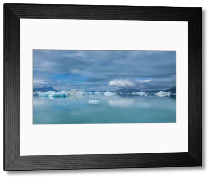 Framed Print : Floating icebergs in the Nuuk Icefjord, Western Greenland, Denmark, Polar Regions Framed Print : Floating icebergs in the Nuuk Icefjord, Western Greenland, Denmark, Polar Regions