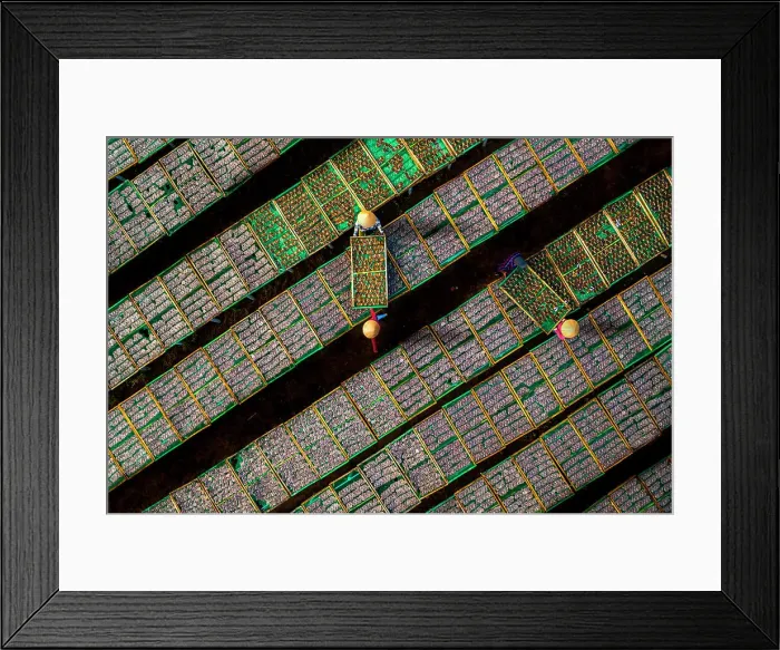 Framed Print : Drying fish in Vung Tau, Vietnam, Indochina, Southeast Asia, Asia Framed Print : Drying fish in Vung Tau, Vietnam, Indochina, Southeast Asia, Asia