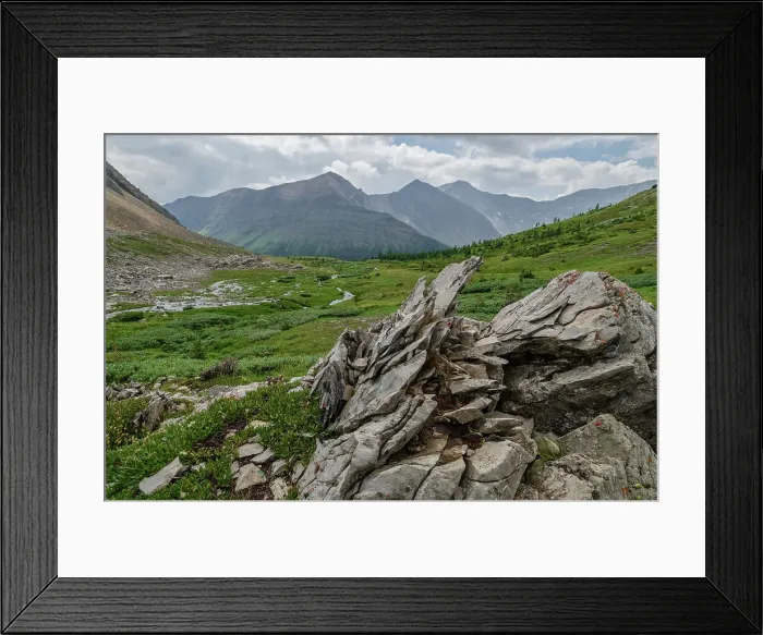 Framed Print : Alpine wildflower meadows along the Ptarmigan Cirque Trail in summer, Mount Arethusa, Kananaskis Country, Alberta, Canadian Rockies, Canada, North America Framed Print : Alpine wildflower meadows along the Ptarmigan Cirque Trail in summer, Mount Arethusa, Kananaskis Country, Alberta, Canadian Rockies, Canada, North America