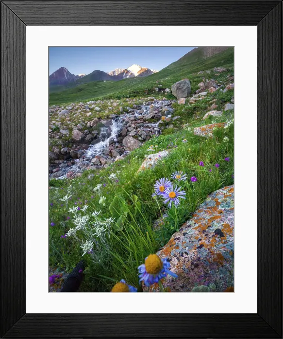 Framed Print : Scenic landscape of wildflowers and a flowing stream in the golden light of early morning, Kyrgyzstan, Central Asia, Asia Framed Print : Scenic landscape of wildflowers and a flowing stream in the golden light of early morning, Kyrgyzstan, Central Asia, Asia