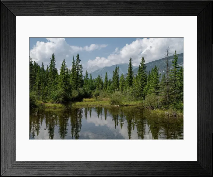 Framed Print : Trout Pond reflections near Picklejar Creek, Kananaskis Country, Alberta, Canadian Rockies, Canada, North America Framed Print : Trout Pond reflections near Picklejar Creek, Kananaskis Country, Alberta, Canadian Rockies, Canada, North America