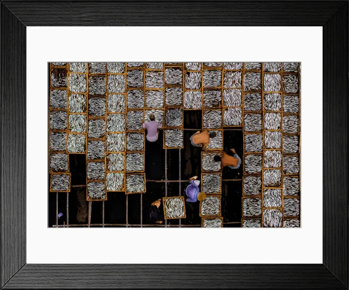 Framed Print : Drying fish in Vung Tau, Vietnam, Indochina, Southeast Asia, Asia Framed Print : Drying fish in Vung Tau, Vietnam, Indochina, Southeast Asia, Asia
