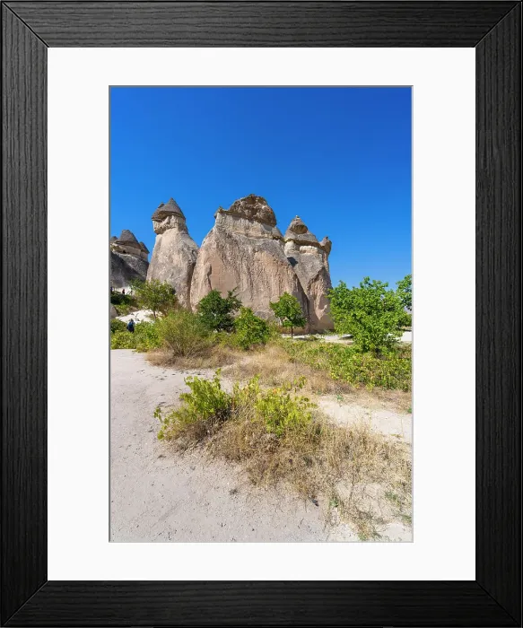 Framed Print : Fairy chimney rock formations, Pasabag Valley, Cavusin, Cappadocia, Anatolia, Turkey, Asia Minor, Asia Framed Print : Fairy chimney rock formations, Pasabag Valley, Cavusin, Cappadocia, Anatolia, Turkey, Asia Minor, Asia