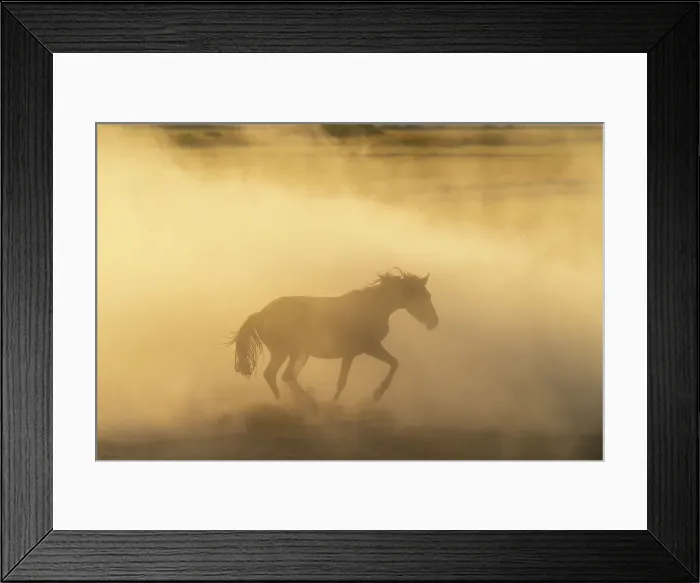 Framed Print : Yilki horse running in dust at sunset, Hacilar, Kayseri, Cappadocia, Anatolia, Turkey, Asia Minor, Asia Framed Print : Yilki horse running in dust at sunset, Hacilar, Kayseri, Cappadocia, Anatolia, Turkey, Asia Minor, Asia