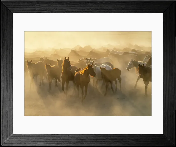 Framed Print : Herd of wild and semi-wild Yilki horses running in dust at sunset, Hacilar, Kayseri, Cappadocia, Anatolia, Turkey, Asia Minor, Asia Framed Print : Herd of wild and semi-wild Yilki horses running in dust at sunset, Hacilar, Kayseri, Cappadocia, Anatolia, Turkey, Asia Minor, Asia