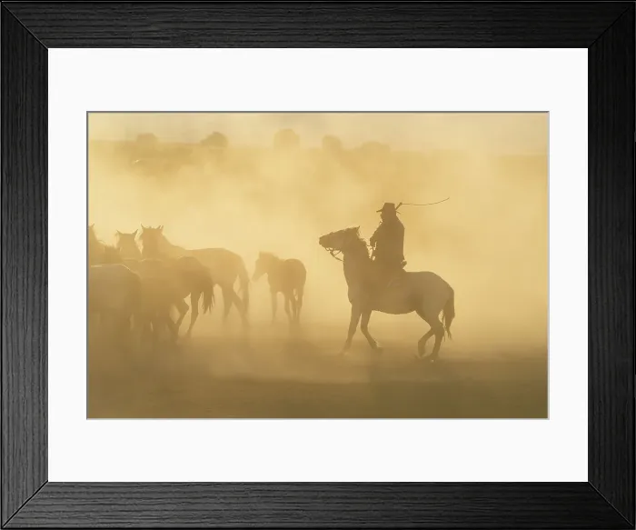Framed Print : Cowboy on horse with whip herding wild and semi-wild Yilki horses at sunset, Hacilar, Kayseri, Cappadocia, Anatolia, Turkey, Asia Minor, Asia Framed Print : Cowboy on horse with whip herding wild and semi-wild Yilki horses at sunset, Hacilar, Kayseri, Cappadocia, Anatolia, Turkey, Asia Minor, Asia