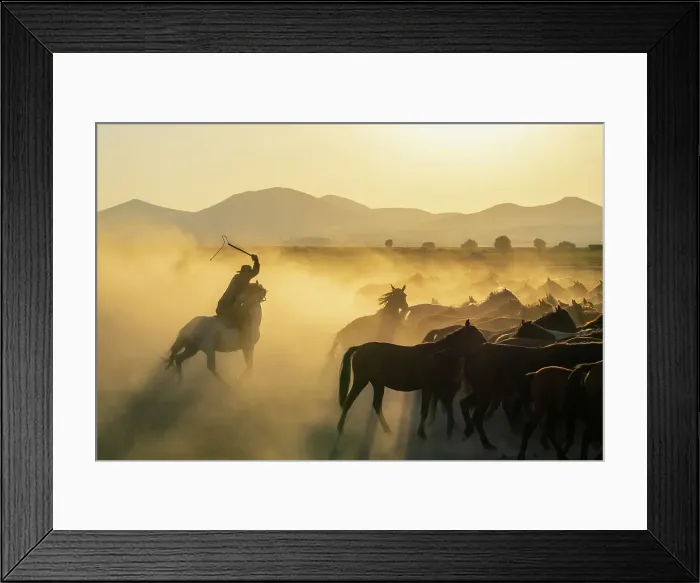 Framed Print : Cowboy on horse with whip herding wild and semi-wild Yilki horses at sunset, Hacilar, Kayseri, Cappadocia, Turkey Framed Print : Cowboy on horse with whip herding wild and semi-wild Yilki horses at sunset, Hacilar, Kayseri, Cappadocia, Turkey