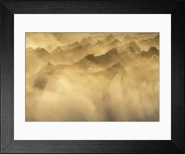 Framed Print : Herd of wild and semi-wild Yilki horses running in dust at sunset, Hacilar, Kayseri, Cappadocia, Anatolia, Turkey, Asia Minor, Asia Framed Print : Herd of wild and semi-wild Yilki horses running in dust at sunset, Hacilar, Kayseri, Cappadocia, Anatolia, Turkey, Asia Minor, Asia