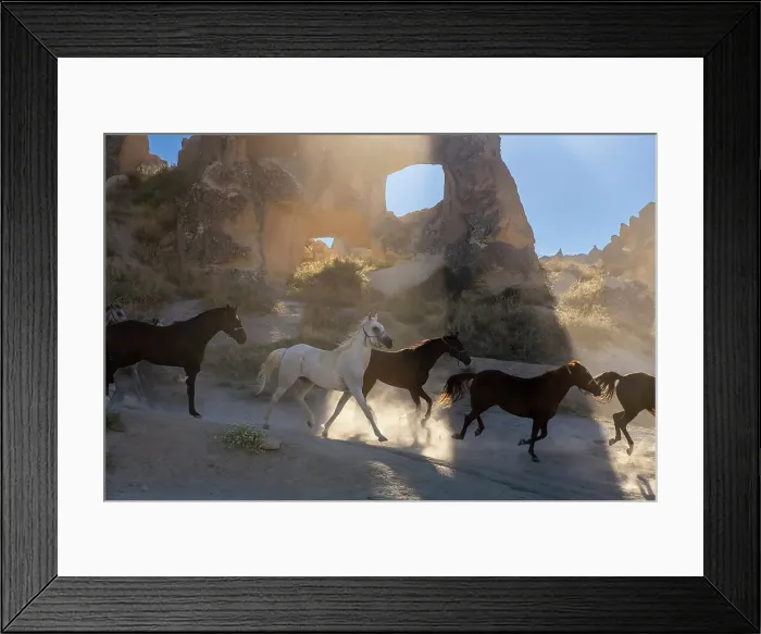 Framed Print : Horses running with rock formations in background, Goreme, Cappadocia, Anatolia, Turkey, Asia Minor, Asia Framed Print : Horses running with rock formations in background, Goreme, Cappadocia, Anatolia, Turkey, Asia Minor, Asia