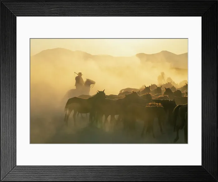 Framed Print : Cowboy on horse with whip herding wild and semi-wild Yilki horses at sunset, Hacilar, Kayseri, Cappadocia, Anatolia, Turkey, Asia Minor, Asia Framed Print : Cowboy on horse with whip herding wild and semi-wild Yilki horses at sunset, Hacilar, Kayseri, Cappadocia, Anatolia, Turkey, Asia Minor, Asia