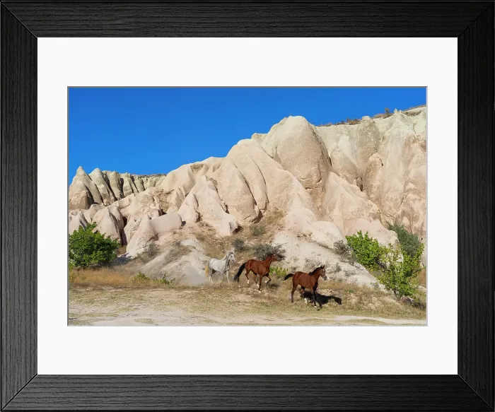 Framed Print : Horses running by rock formations of Red Valley (Rose Valley), Cavusin, Cappadocia, Anatolia, Turkey, Asia Minor, Asia Framed Print : Horses running by rock formations of Red Valley (Rose Valley), Cavusin, Cappadocia, Anatolia, Turkey, Asia Minor, Asia