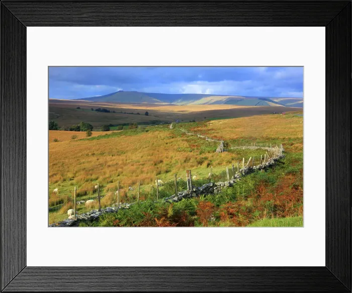 Framed Print : Looking towards Pen-y-Fan, Brecon Beacons, Powys, Wales, United Kingdom, Europe Framed Print : Looking towards Pen-y-Fan, Brecon Beacons, Powys, Wales, United Kingdom, Europe