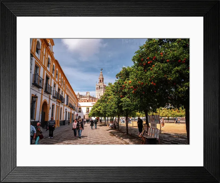 Framed Print : Orange trees in a park in the Patio de Banderas. featuring the cathedral spire of Seville, Andalusia, Spain, Europe Framed Print : Orange trees in a park in the Patio de Banderas. featuring the cathedral spire of Seville, Andalusia, Spain, Europe