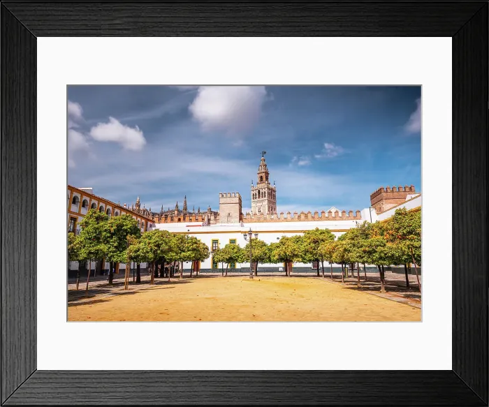 Framed Print : Orange trees in a park featuring the cathedral spire of Seville, Andalusia, Spain, Europe Framed Print : Orange trees in a park featuring the cathedral spire of Seville, Andalusia, Spain, Europe