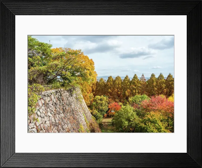 Framed Print : Osaka Castle moat walls and autumnal colors in the trees, Osaka, Honshu, Japan, Asia Framed Print : Osaka Castle moat walls and autumnal colors in the trees, Osaka, Honshu, Japan, Asia