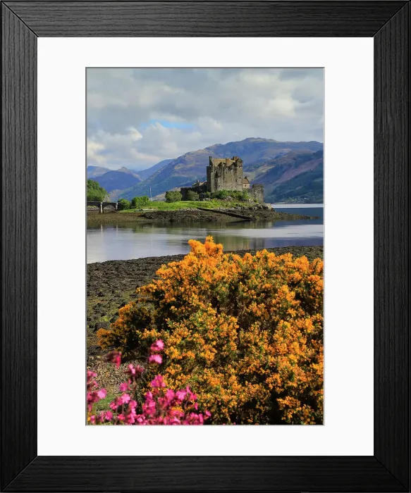 Framed Print : Spring flowers and the 13th century Eilean Donan Castle on a tidal island by the Kyle of Loch Alsh, Eilean Donan, Dornie, Kyle of Loch Alsh, West Highlands, Scotland, United Kingdom, Europe Framed Print : Spring flowers and the 13th century Eilean Donan Castle on a tidal island by the Kyle of Loch Alsh, Eilean Donan, Dornie, Kyle of Loch Alsh, West Highlands, Scotland, United Kingdom, Europe