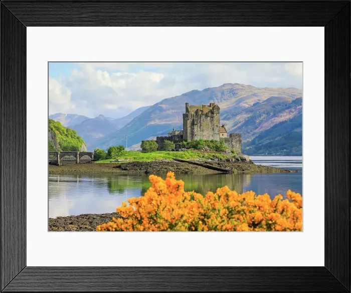 Framed Print : Spring flowers and the 13th century Eilean Donan Castle on a tidal island by the Kyle of Loch Alsh, Eilean Donan, Dornie, Kyle of Loch Alsh, West Highlands, Scotland, United Kingdom, Europe Framed Print : Spring flowers and the 13th century Eilean Donan Castle on a tidal island by the Kyle of Loch Alsh, Eilean Donan, Dornie, Kyle of Loch Alsh, West Highlands, Scotland, United Kingdom, Europe