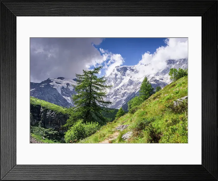Framed Print : Hiking trail in alpine landscape facing Monte Rosa with lush forest and meadows in moraine landscape, Italian Alps, Italy, Europe Framed Print : Hiking trail in alpine landscape facing Monte Rosa with lush forest and meadows in moraine landscape, Italian Alps, Italy, Europe