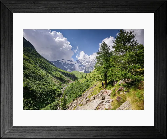 Framed Print : Hiking trail in alpine landscape facing Monte Rosa with lush forest and meadows in moraine landscape, Italian Alps, Italy, Europe Framed Print : Hiking trail in alpine landscape facing Monte Rosa with lush forest and meadows in moraine landscape, Italian Alps, Italy, Europe