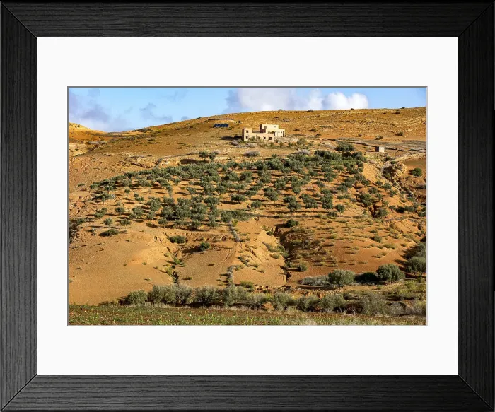 Framed Print : Semi-arid landscape with olive trees near Tazert, Al Haouz province, Morocco Framed Print : Semi-arid landscape with olive trees near Tazert, Al Haouz province, Morocco
