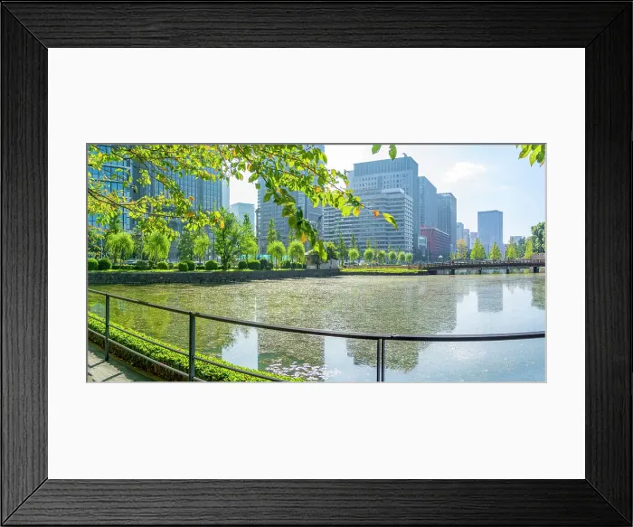 Framed Print : View of reflections in Wadakura Moat on a sunny day, Chiyoda, Tokyo, Honshu, Japan Framed Print : View of reflections in Wadakura Moat on a sunny day, Chiyoda, Tokyo, Honshu, Japan