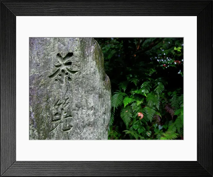 Framed Print : Garden in Kamakura, Honshu, Japan
