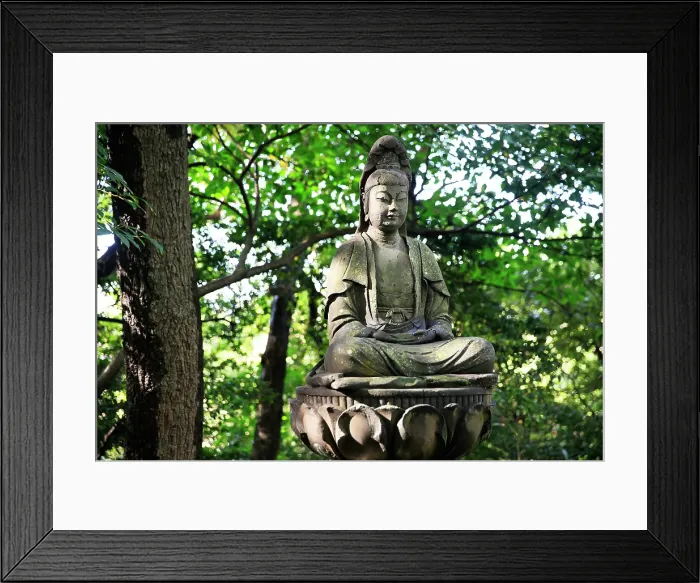 Framed Print : Garden in Kamakura, Honshu, Japan Framed Print : Garden in Kamakura, Honshu, Japan
