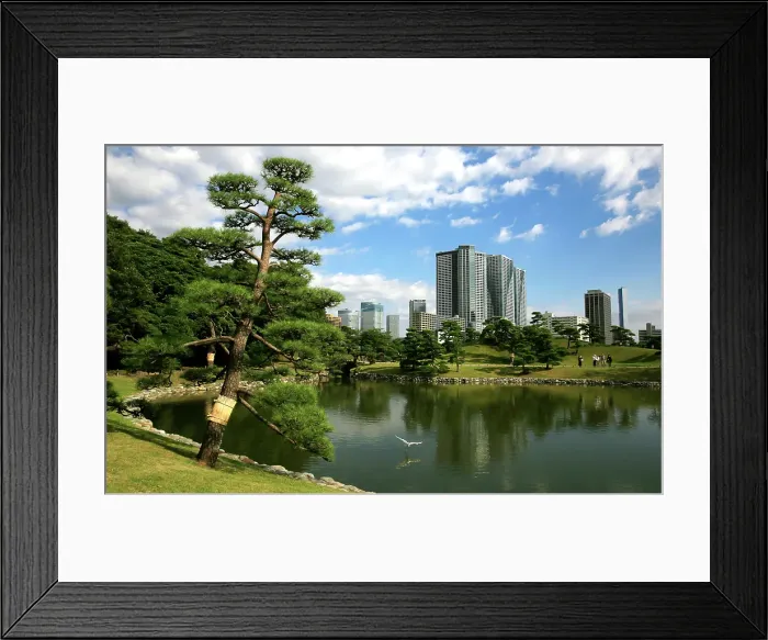 Framed Print : Central Tokyo, Honshu, Japan Framed Print : Central Tokyo, Honshu, Japan