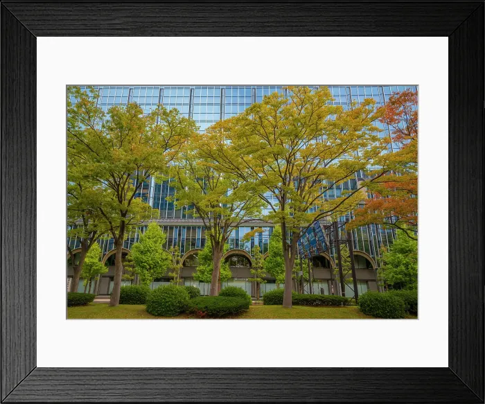 Framed Print : View of colourful trees turning in autumn against modern buildings, Kanazawa City, Ishikawa Prefecture, Honshu, Japan Framed Print : View of colourful trees turning in autumn against modern buildings, Kanazawa City, Ishikawa Prefecture, Honshu, Japan