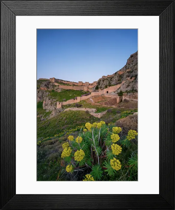 Framed Print : Acrocorinth historic castle on top of the mountain at sunset with Euphorbia characias (Mediterranean spurge) yellow flowers, Greece Framed Print : Acrocorinth historic castle on top of the mountain at sunset with Euphorbia characias (Mediterranean spurge) yellow flowers, Greece