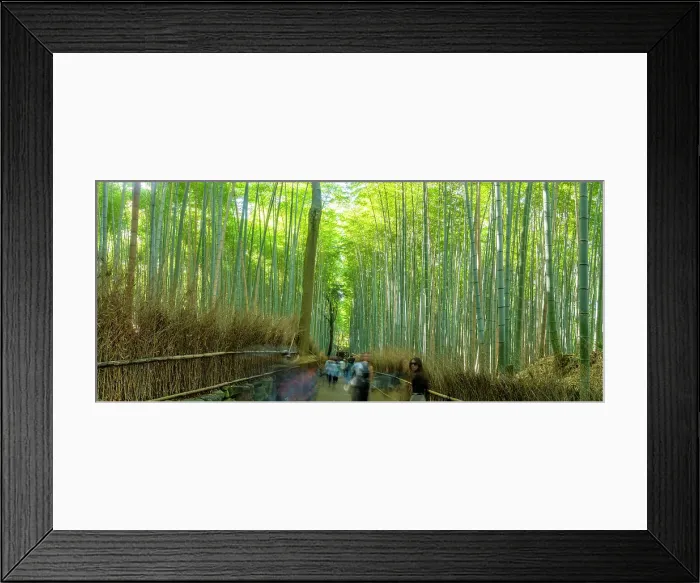 Framed Print : View of Bamboo walkway, Sagatenryuji Tateishicho, Ukyo Ward, Kyoto, Honshu, Japan Framed Print : View of Bamboo walkway, Sagatenryuji Tateishicho, Ukyo Ward, Kyoto, Honshu, Japan