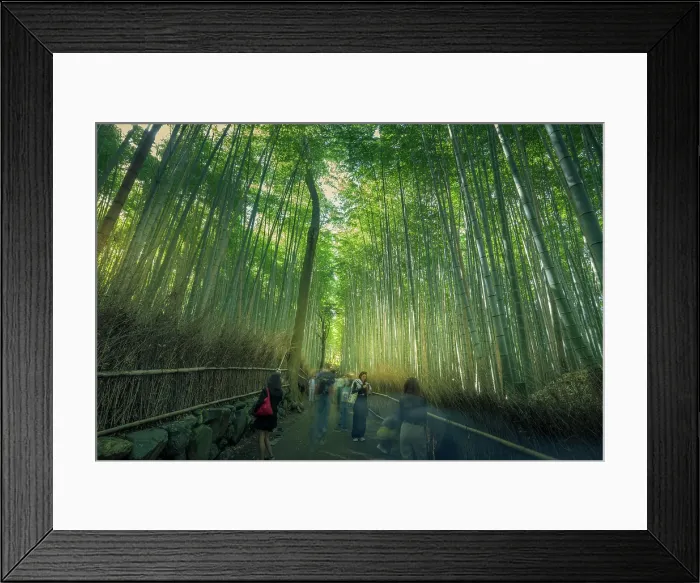 Framed Print : View of Bamboo walkway, Sagatenryuji Tateishicho, Ukyo Ward, Kyoto, Honshu, Japan Framed Print : View of Bamboo walkway, Sagatenryuji Tateishicho, Ukyo Ward, Kyoto, Honshu, Japan