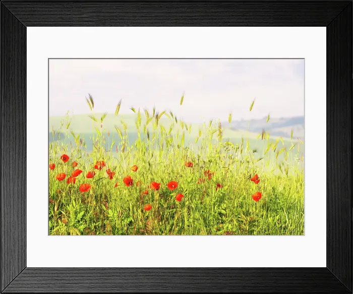 Framed Print : Spring in the Val d'Orcia, UNESCO, Tuscany, Italy Framed Print : Spring in the Val d'Orcia, UNESCO, Tuscany, Italy