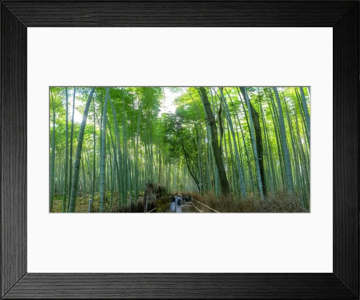 Framed Print : View of Bamboo walkway, Sagatenryuji Tateishicho, Ukyo Ward, Kyoto, Honshu, Japan Framed Print : View of Bamboo walkway, Sagatenryuji Tateishicho, Ukyo Ward, Kyoto, Honshu, Japan