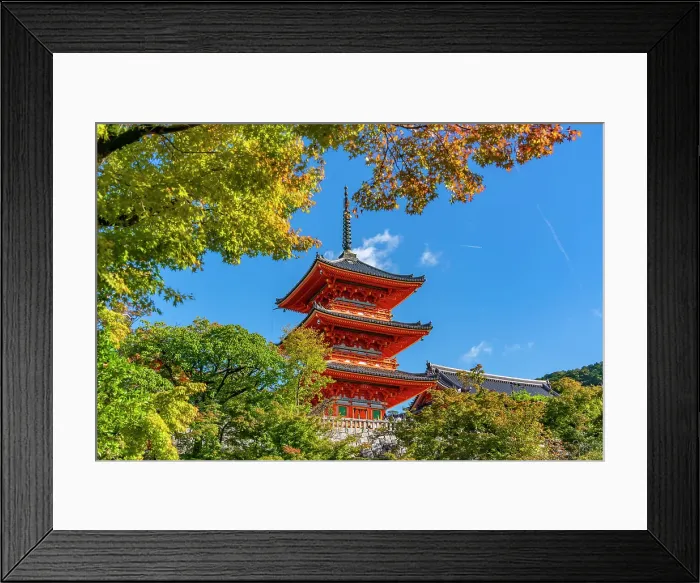 Framed Print : View of Kiyomizu-dera Temple and trees with autumn colours, UNESCO, Kiyomizu, Higashiyama Ward, Kyoto, Honshu, Japan Framed Print : View of Kiyomizu-dera Temple and trees with autumn colours, UNESCO, Kiyomizu, Higashiyama Ward, Kyoto, Honshu, Japan