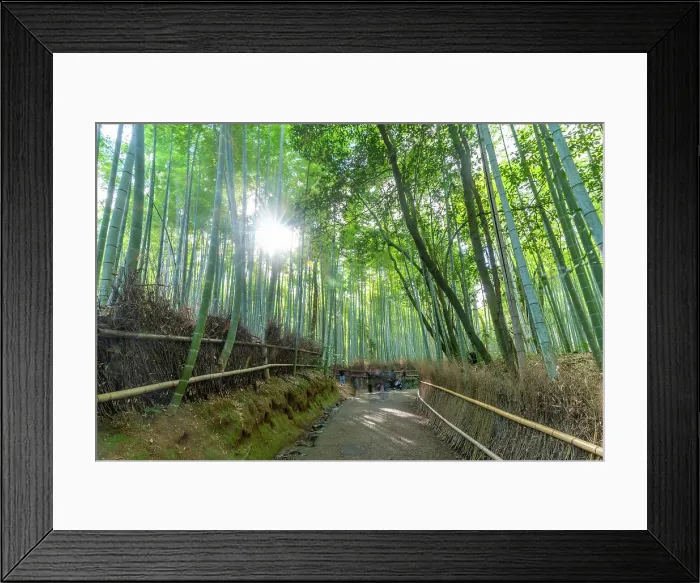 Framed Print : View of Bamboo walkway, Sagatenryuji Tateishicho, Ukyo Ward, Kyoto, Honshu, Japan Framed Print : View of Bamboo walkway, Sagatenryuji Tateishicho, Ukyo Ward, Kyoto, Honshu, Japan