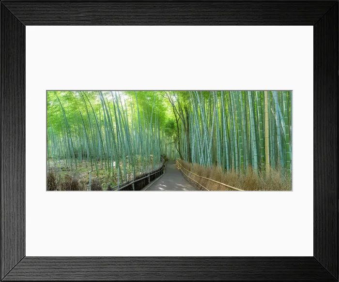 Framed Print : View of Bamboo walkway, Sagatenryuji Tateishicho, Ukyo Ward, Kyoto, Honshu, Japan Framed Print : View of Bamboo walkway, Sagatenryuji Tateishicho, Ukyo Ward, Kyoto, Honshu, Japan
