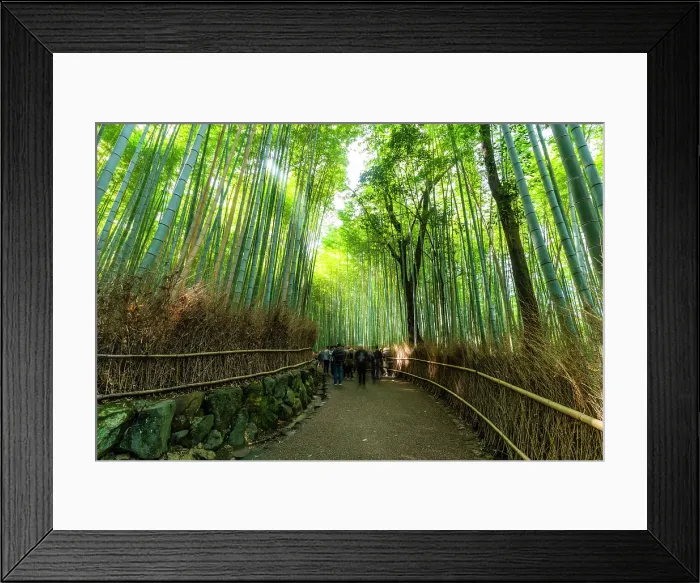 Framed Print : View of Bamboo walkway, Sagatenryuji Tateishicho, Ukyo Ward, Kyoto, Honshu, Japan Framed Print : View of Bamboo walkway, Sagatenryuji Tateishicho, Ukyo Ward, Kyoto, Honshu, Japan