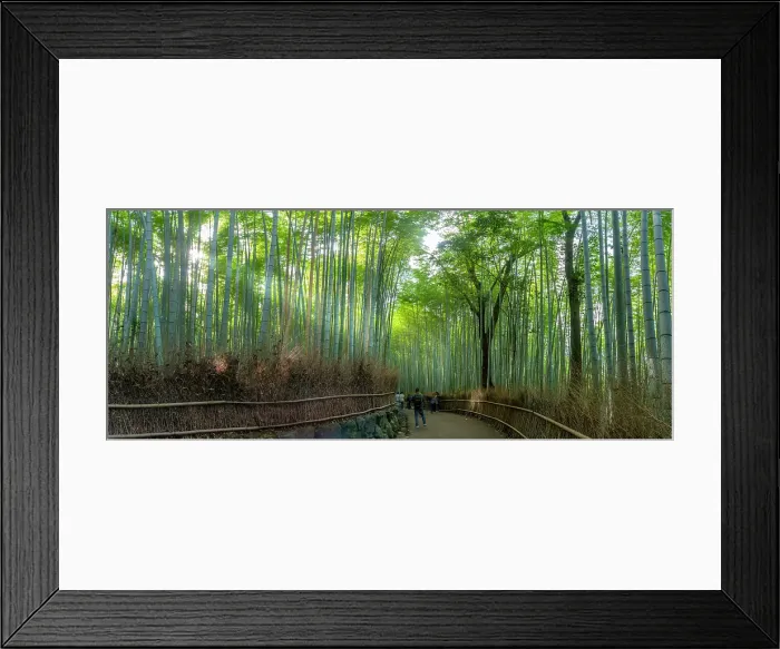 Framed Print : View of Bamboo walkway, Sagatenryuji Tateishicho, Ukyo Ward, Kyoto, Honshu, Japan Framed Print : View of Bamboo walkway, Sagatenryuji Tateishicho, Ukyo Ward, Kyoto, Honshu, Japan