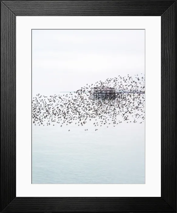Framed Print : The remains of the West Pier as seen through the starling murmuration at sunset, Brighton and Hove, East Sussex, England, United Kingdom Framed Print : The remains of the West Pier as seen through the starling murmuration at sunset, Brighton and Hove, East Sussex, England, United Kingdom