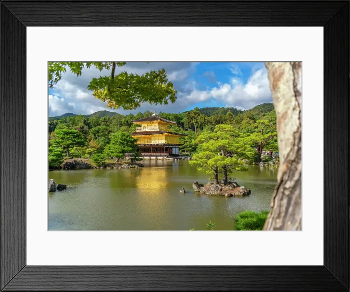 Framed Print : View of Golden Temple (Kinkaku-ji) (Temple of the Golden Pavilion), UNESCO, Kyoto, Honshu, Japan Framed Print : View of Golden Temple (Kinkaku-ji) (Temple of the Golden Pavilion), UNESCO, Kyoto, Honshu, Japan