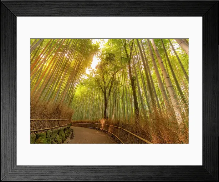 Framed Print : View of Bamboo walkway, Sagatenryuji Tateishicho, Ukyo Ward, Kyoto, Honshu, Japan Framed Print : View of Bamboo walkway, Sagatenryuji Tateishicho, Ukyo Ward, Kyoto, Honshu, Japan
