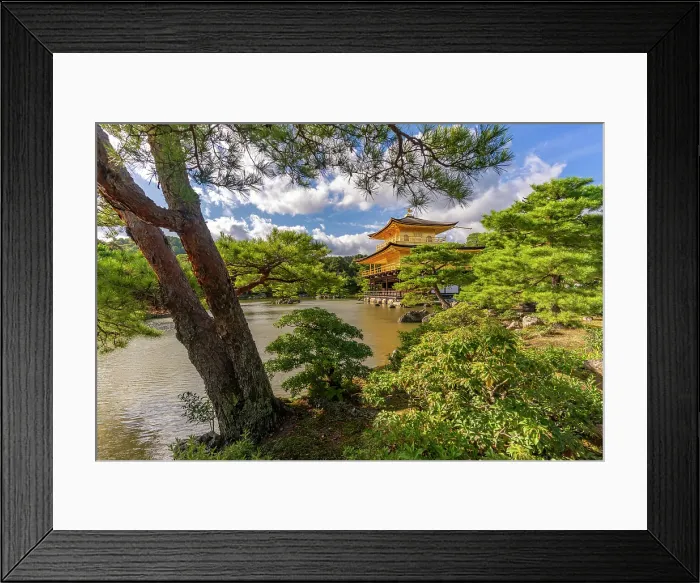 Framed Print : View of Golden Temple (Kinkaku-ji) (Temple of the Golden Pavilion), UNESCO, Kyoto, Honshu, Japan Framed Print : View of Golden Temple (Kinkaku-ji) (Temple of the Golden Pavilion), UNESCO, Kyoto, Honshu, Japan