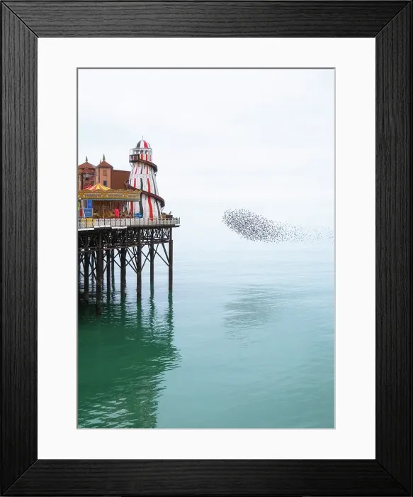 Framed Print : Starling murmuration at sunset next to the Brighton Palace Pier, City of Brighton and Hove, East Sussex, England, United Kingdom Framed Print : Starling murmuration at sunset next to the Brighton Palace Pier, City of Brighton and Hove, East Sussex, England, United Kingdom
