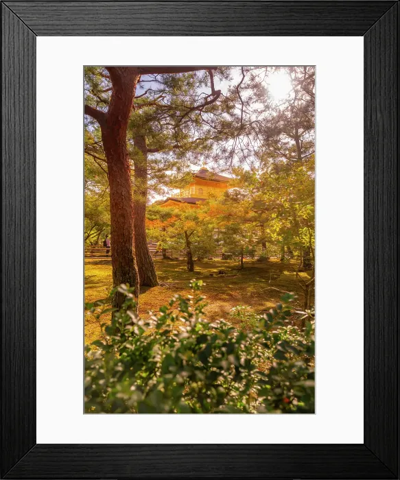 Framed Print : View of Golden Temple (Kinkaku-ji) (Temple of the Golden Pavilion), UNESCO, Kyoto, Honshu, Japan Framed Print : View of Golden Temple (Kinkaku-ji) (Temple of the Golden Pavilion), UNESCO, Kyoto, Honshu, Japan