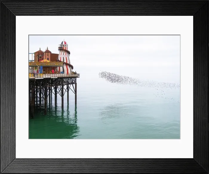 Framed Print : Starling murmuration at sunset next to the Brighton Palace Pier, City of Brighton and Hove, East Sussex, England, United Kingdom Framed Print : Starling murmuration at sunset next to the Brighton Palace Pier, City of Brighton and Hove, East Sussex, England, United Kingdom