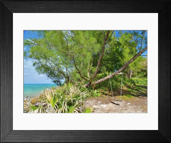 Framed Print : Swing at Glass Beach in Sandys Parish, Bermuda Framed Print : Swing at Glass Beach in Sandys Parish, Bermuda
